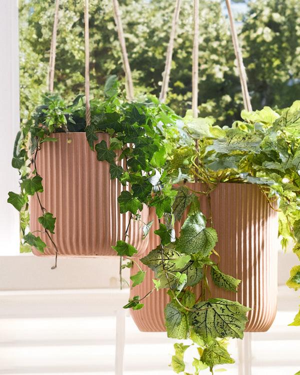 dibor Roma Terracotta Hanging Planter Collection