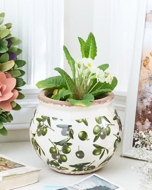 dibor Round Rustic Olive Planter