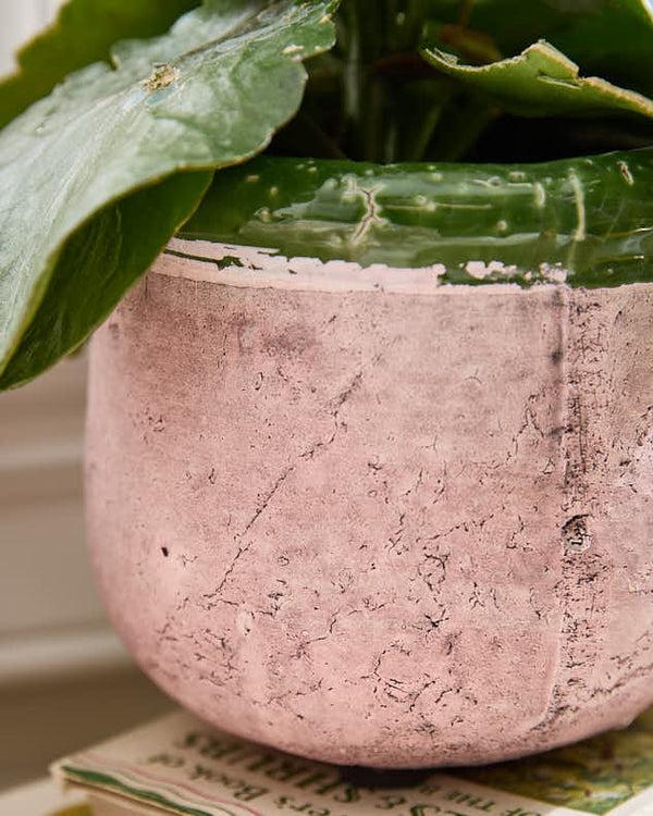 Dibor Round Terracotta Planters