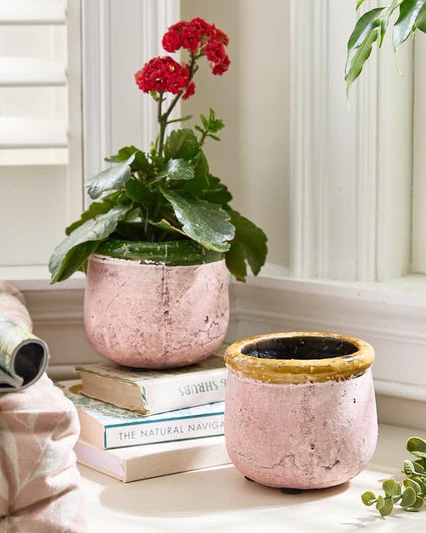 dibor Round Terracotta Planters