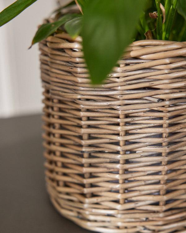 Dibor Round Wicker Planter Basket
