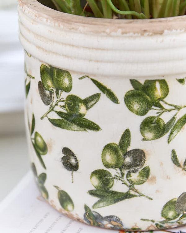 Dibor Rustic Ribbed Olive Planter