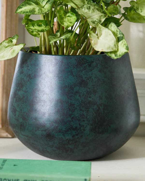 Dibor Saka Green Rounded Planter