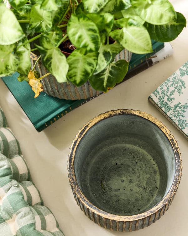 Dibor Samaran Gold Brushed Planter Collection