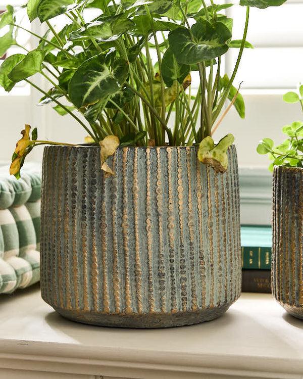 Dibor Samaran Gold Brushed Planter Collection