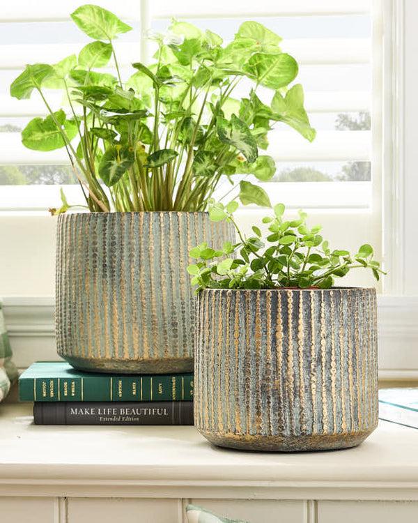 dibor Samaran Gold Brushed Planter Collection