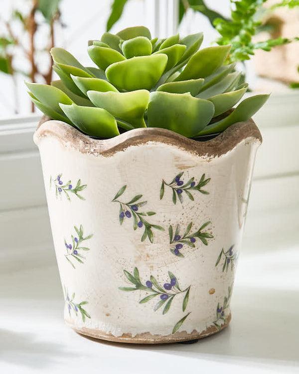 Dibor Scalloped Edge Olive Planter