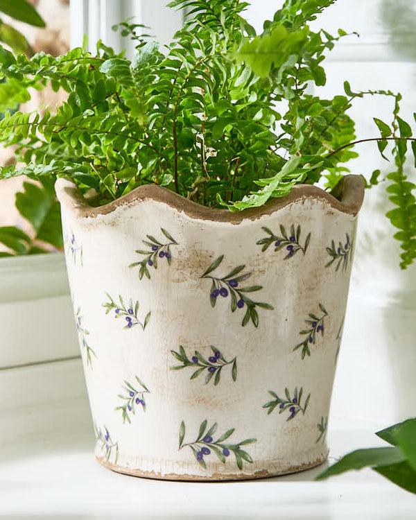 Dibor Scalloped Edge Olive Planter