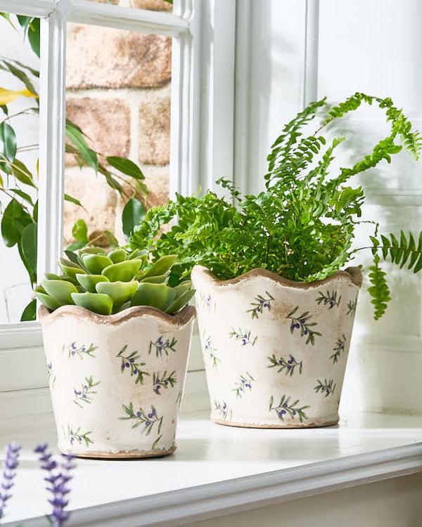 dibor Scalloped Edge Olive Planter