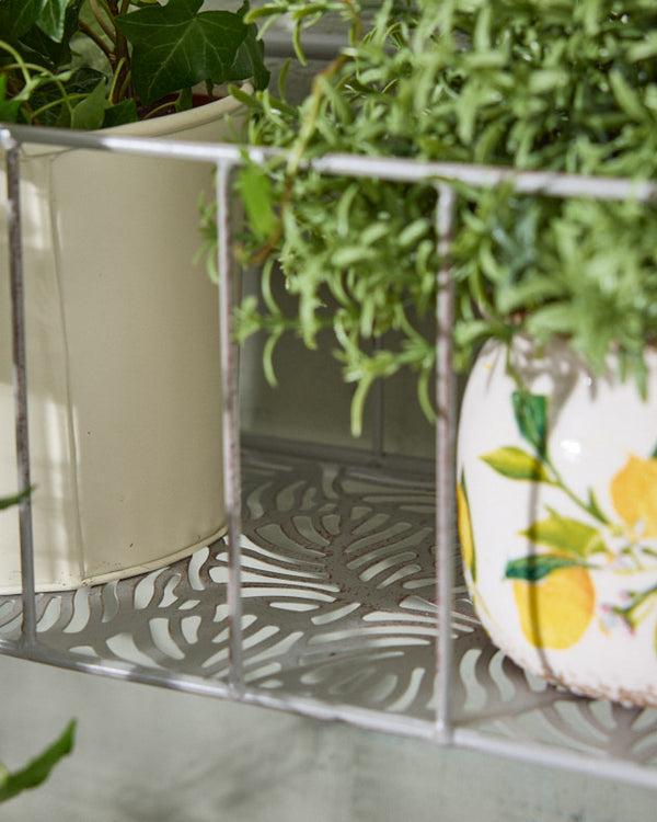 Dibor Set Of 2 Arched Iron Wall Planters