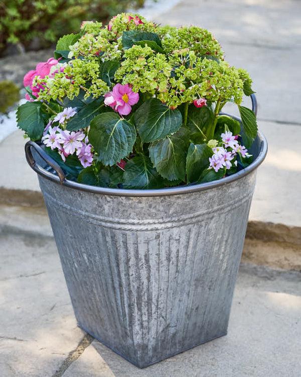Dibor Set Of 2 Grey Metal Bucket Planters