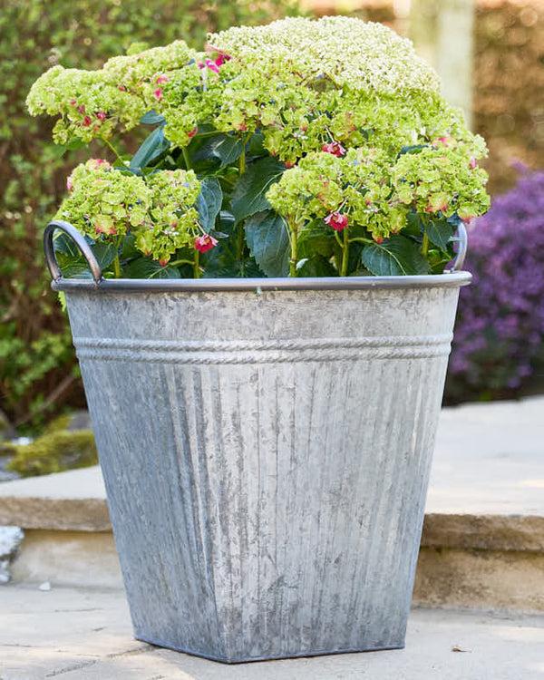 dibor Set of 2 Grey Metal Bucket Planters