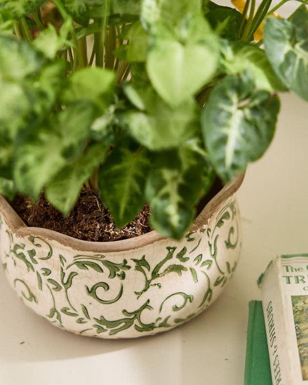 Dibor Set Of 2 Mediterreanean Style Planters