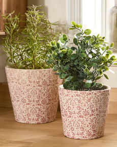 dibor Set of 2 Red Floral Planters