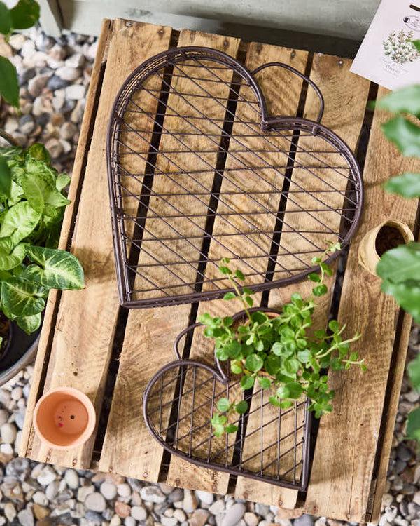 Dibor Set Of 2 Seedling Flower Pot Planters