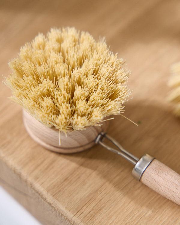 Dibor Set Of 2 Traditional Scrubbing Brushes