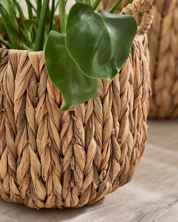 Dibor Set Of 2 Water Hyacinth Basket Planters