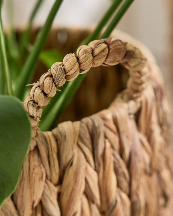 Dibor Set Of 2 Water Hyacinth Basket Planters