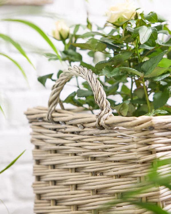 Dibor Set Of 3 Basket Planters With Handles