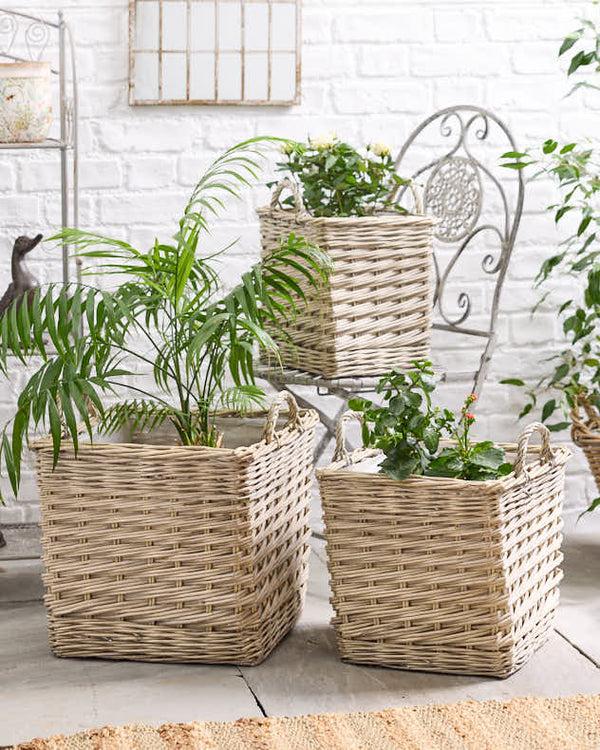 dibor Set of 3 Basket Planters with Handles
