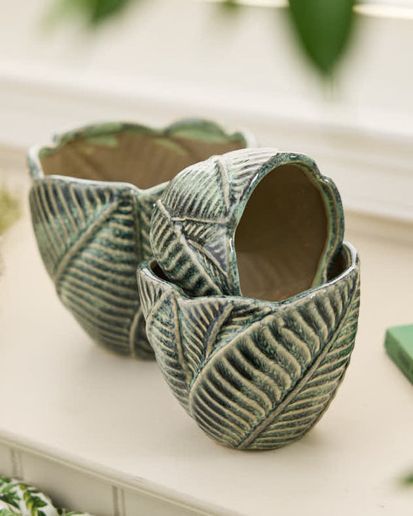 Dibor Set Of 3 Botanic Indoor Planters