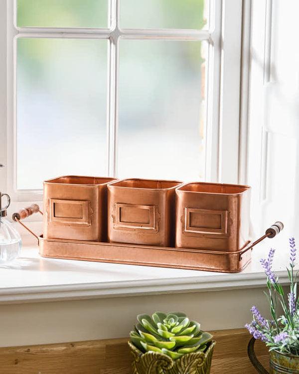 Dibor Set Of 3 Copper Finish Herb Pots On Tray