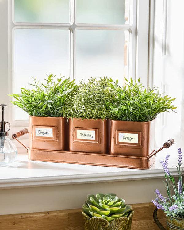 dibor Set of 3 Copper Finish Herb Pots on Tray