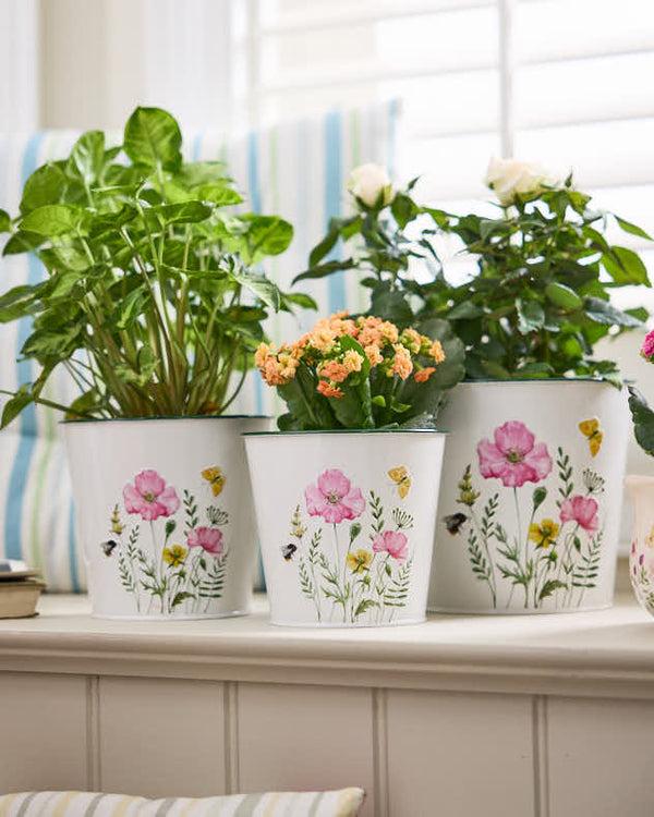 dibor Set of 3 Enameled Planters