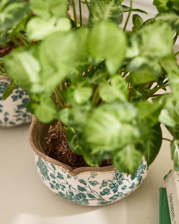 Dibor Set Of 3 Floral Field Ceramic Planters