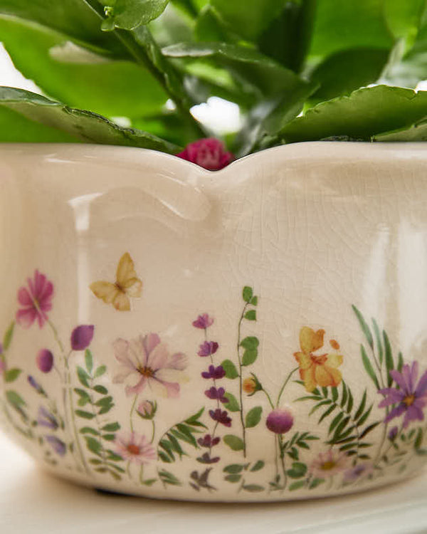 Dibor Set Of 3 Floral Print Jardinière Pots