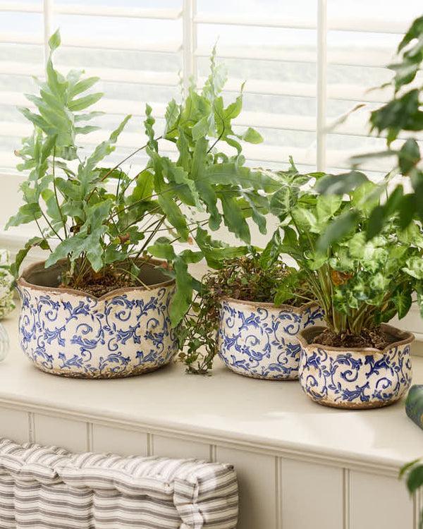 dibor Set Of 3 Florence Indoor Planters Blue