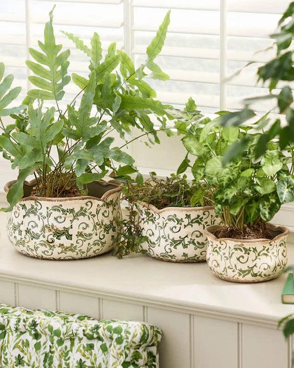 Dibor Set Of 3 Green Florence Planters