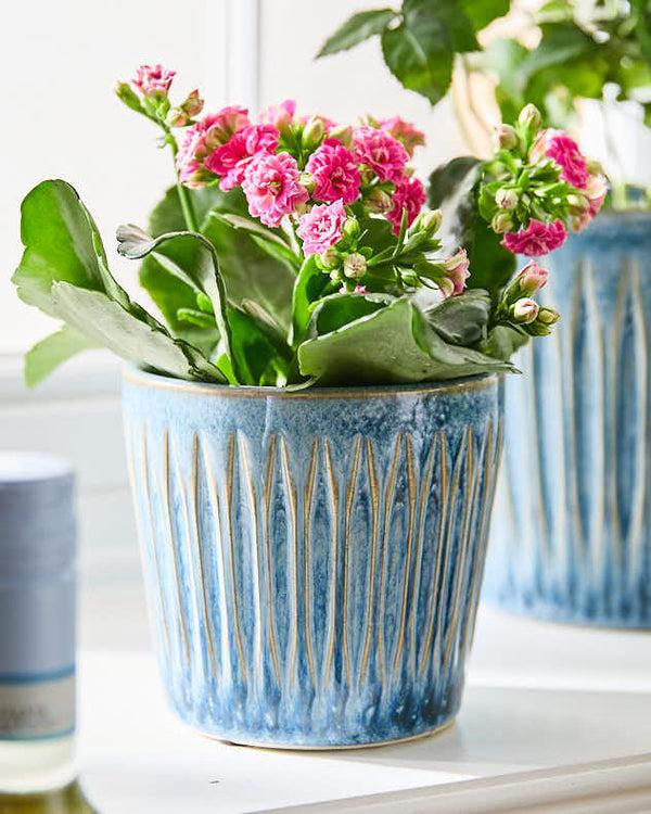 Dibor Set Of 3 Ribbed Blue Planters
