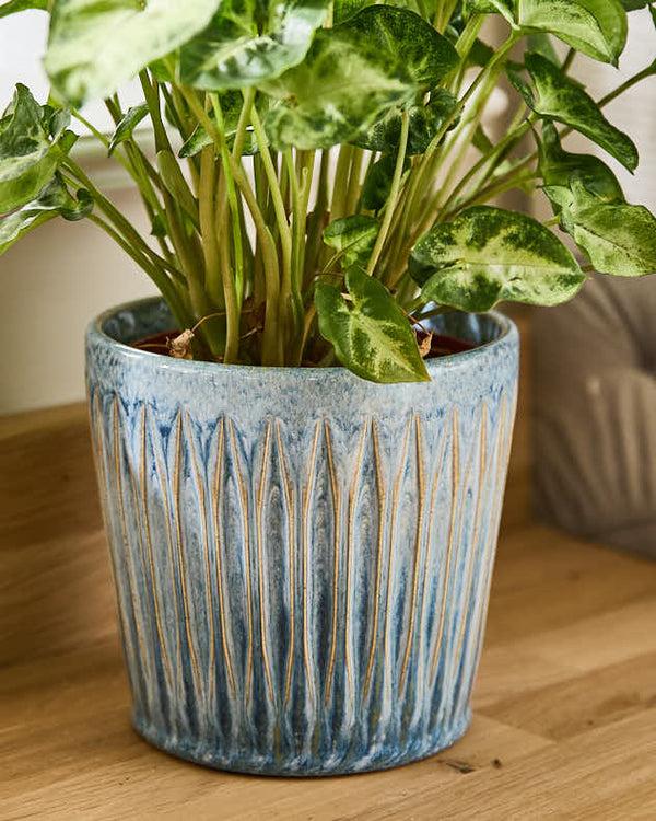 Dibor Set Of 3 Ribbed Blue Planters