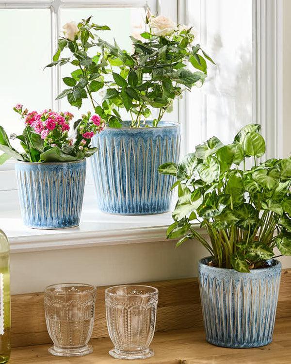 dibor Set of 3 Ribbed Blue Planters