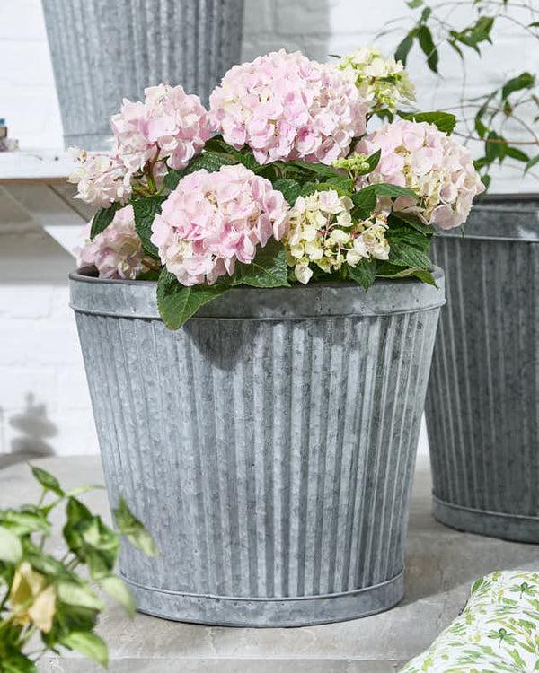 Dibor Set Of 3 Ribbed Metal Bucket Planters