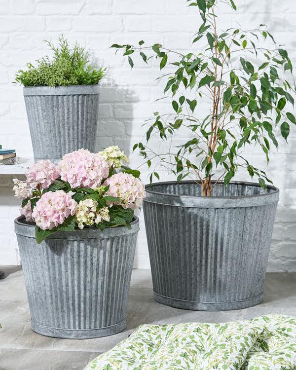 dibor Set of 3 Ribbed Metal Bucket Planters