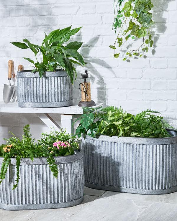 dibor Set of 3 Ribbed Metal Tub Planters