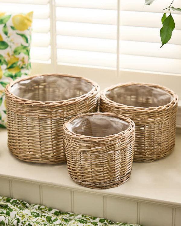 Dibor Set Of 3 Round Wicker Planters