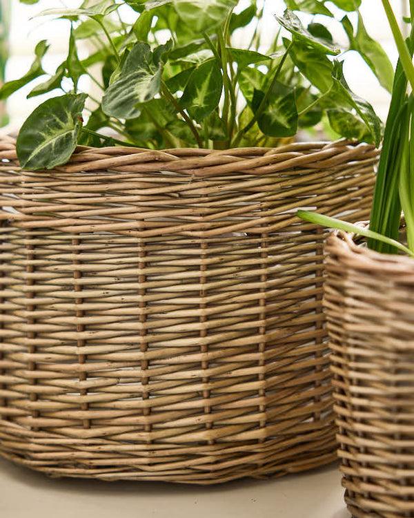 Dibor Set Of 3 Round Wicker Planters