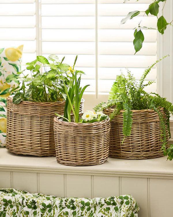 dibor Set of 3 Round Wicker Planters