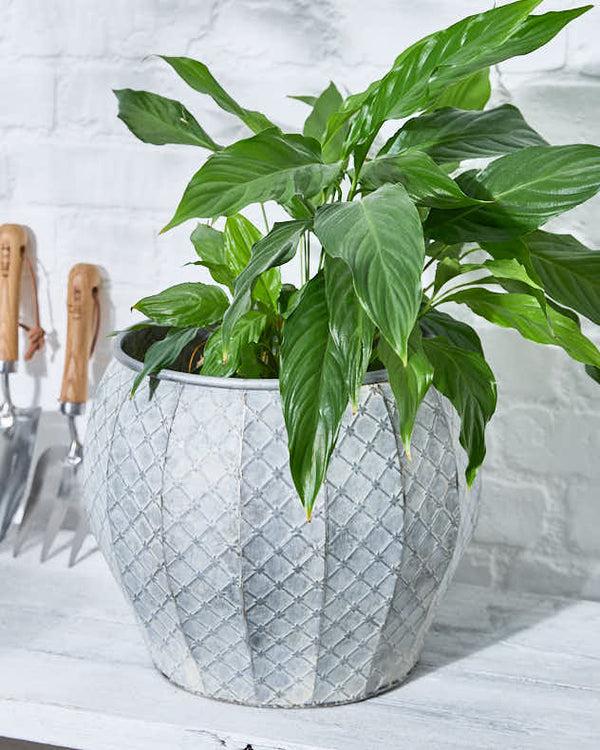 Dibor Set Of 3 Textured Metal Planter Tubs