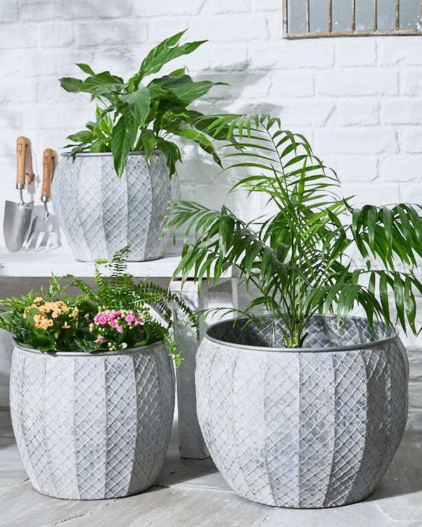 dibor Set of 3 Textured Metal Planter Tubs