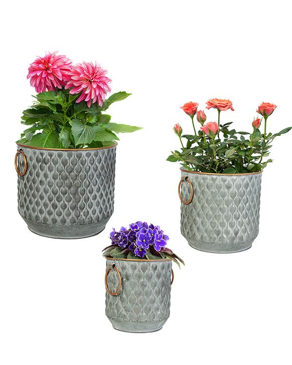 Dibor Set Of 3 Textured Metal Tub Planters