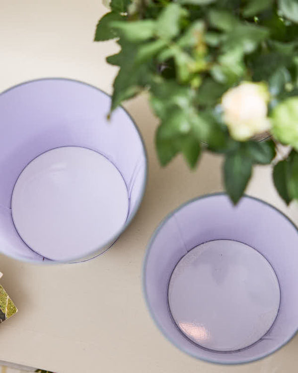 Dibor Set Of 3 Victorian Style Botanical Planters