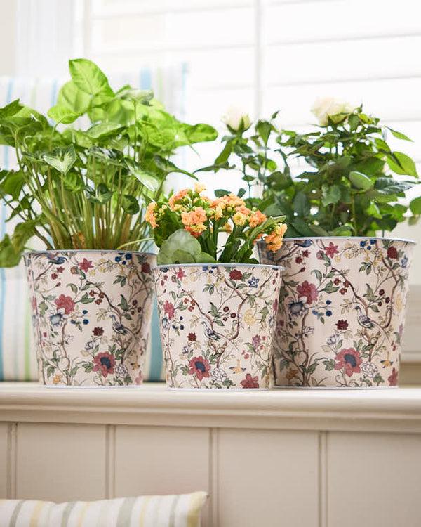 dibor Set of 3 Victorian Style Botanical Planters