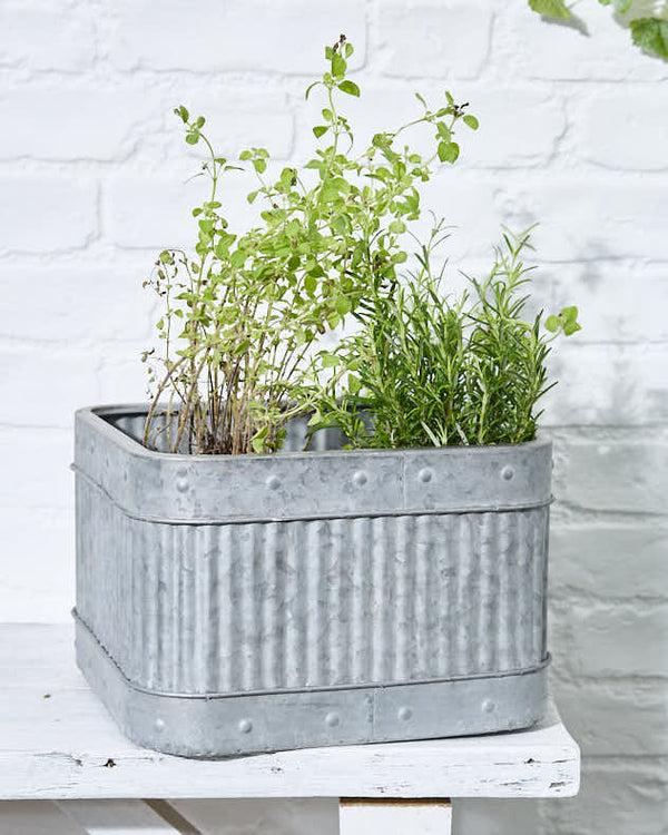 Dibor Set Of 3 Vintage Style Garden Planters