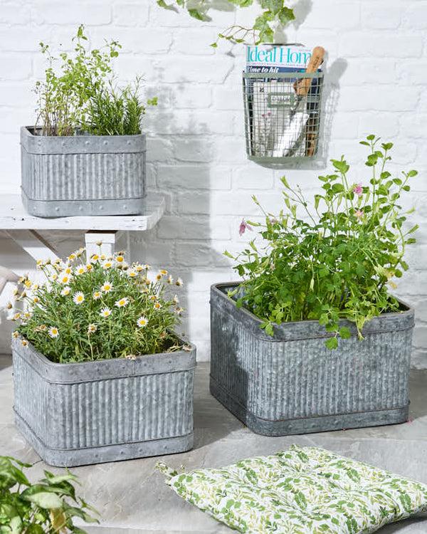 dibor Set of 3 Vintage Style Garden Planters