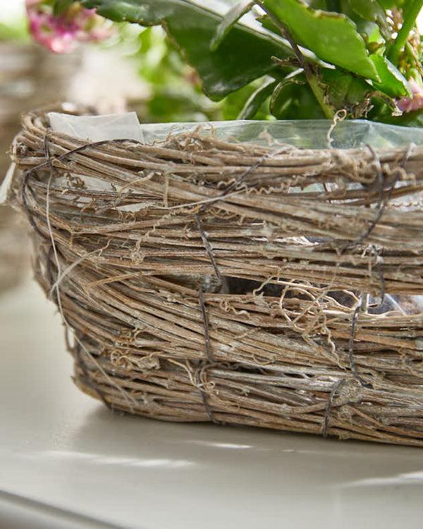 Dibor Set Of 3 Wicker Heart Baskets