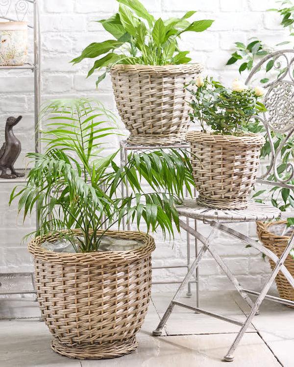 dibor Set of Three French Woven Planters